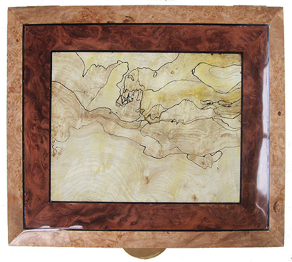Handcrafted large wood box top - Blackline spalted maple burl framed in redwood burl and maple burl with ebony stringing