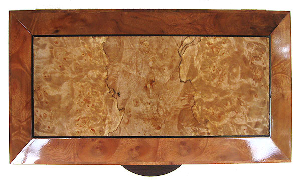 Maple burl center  framed in camphor burl with ebony striping box top - Handcrafted decorative wood keepsake box