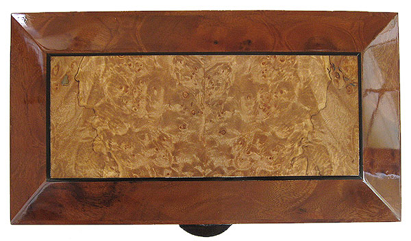 Maple burl framed in camphor burl box top - Handcrafted decorative wood keepsake box