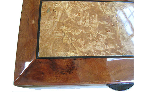 Maple burl framed in camphor burl box top close up - Handcrafted decorative wood box, keepsake box