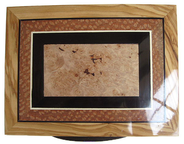 Maple burl center framed in African blackwood, lacewood and Mediterranean olive box top - Handmade wood keepsake box
