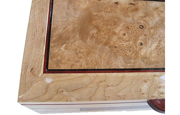 Maple burl center piece framed in birds eye maple box top