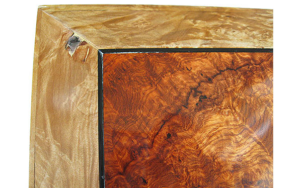 Amboyna burl center top framed in spalted maple burl box top - Left back corner close up