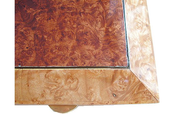 Amboyna burl center top framed in spalted maple burl box top -right front corner close up