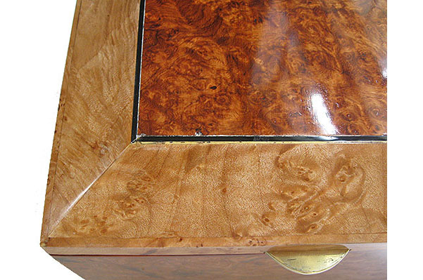 Amboyna burl center top framed in maple burl box top - left front corner close up