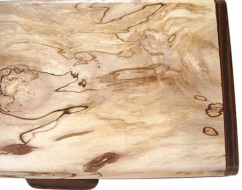 Spalted maple burl box top - close up