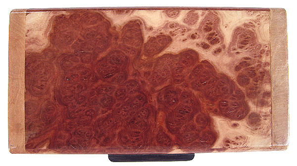 Red mallee box top - Handmade small wood keepsake box