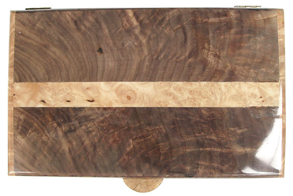 Claro walcut box with maple burl band inlaid in center