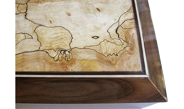 Backline spalted maple box top close up - Handmade wood decorative keepsake box