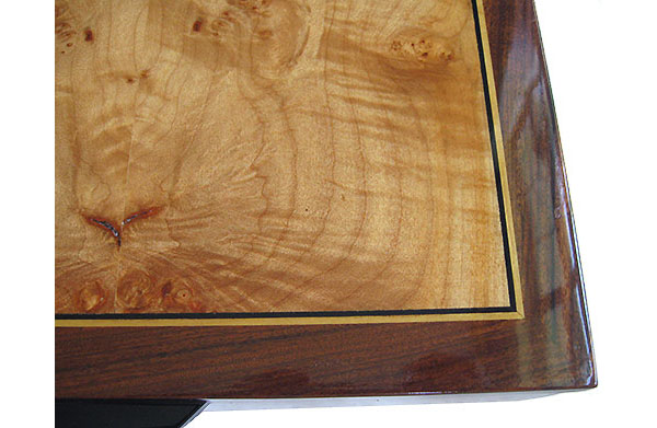 Maple burl inlaid Santos rosewood box top - close-uo