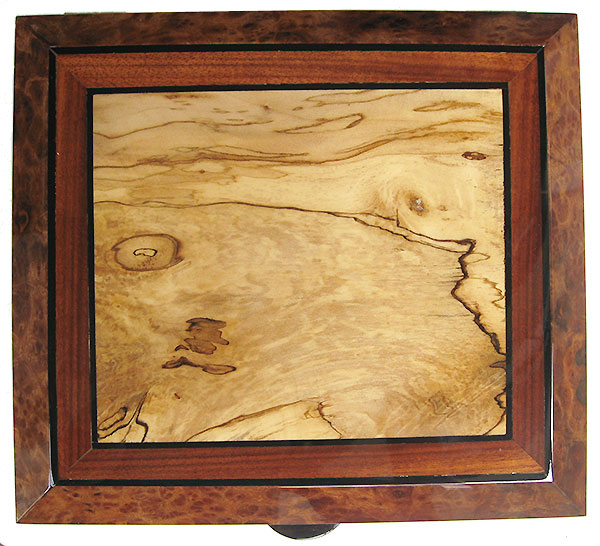 Handcrafted wood box top - Spalted maple framed in Indian rosewood and camphor burl with ebony stripings