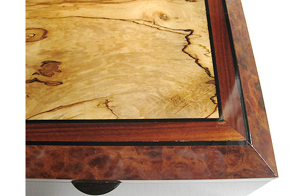 Spalted maple framed in Indian rosewood and camphor burl - Handcrafted wood box top close-up