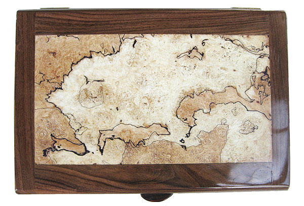Handmade large wood valet box - Mosaic top with bird's eye maple, shedua, ebony framed in colobolo