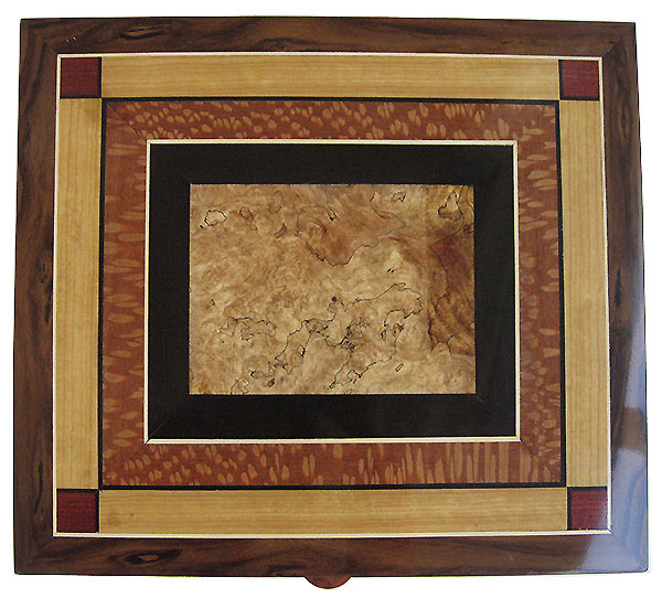 Mosaic box top of Spalted maple burl, African blackwood, lacewood, Ceylon satinwood, bloodwood - Handcrafted large valet box, documen box