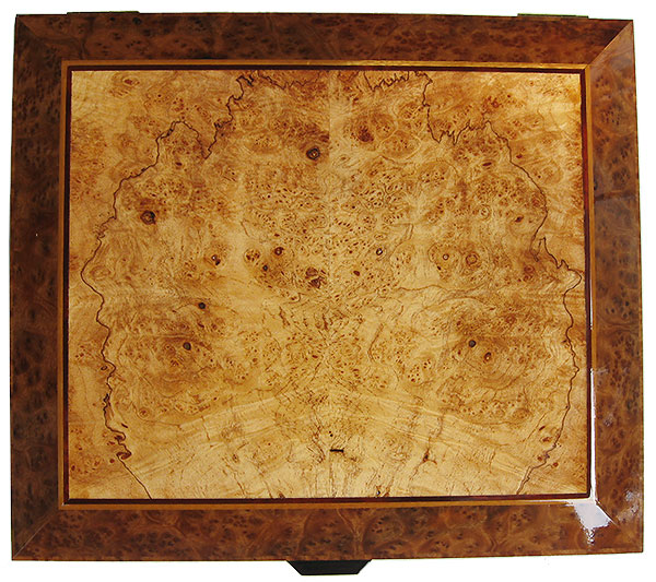 Maple burl framed in camphor burl box top - Handcrafted wood large box - Decorative men's valet, large keepsake box, document box made of Indian rosewood